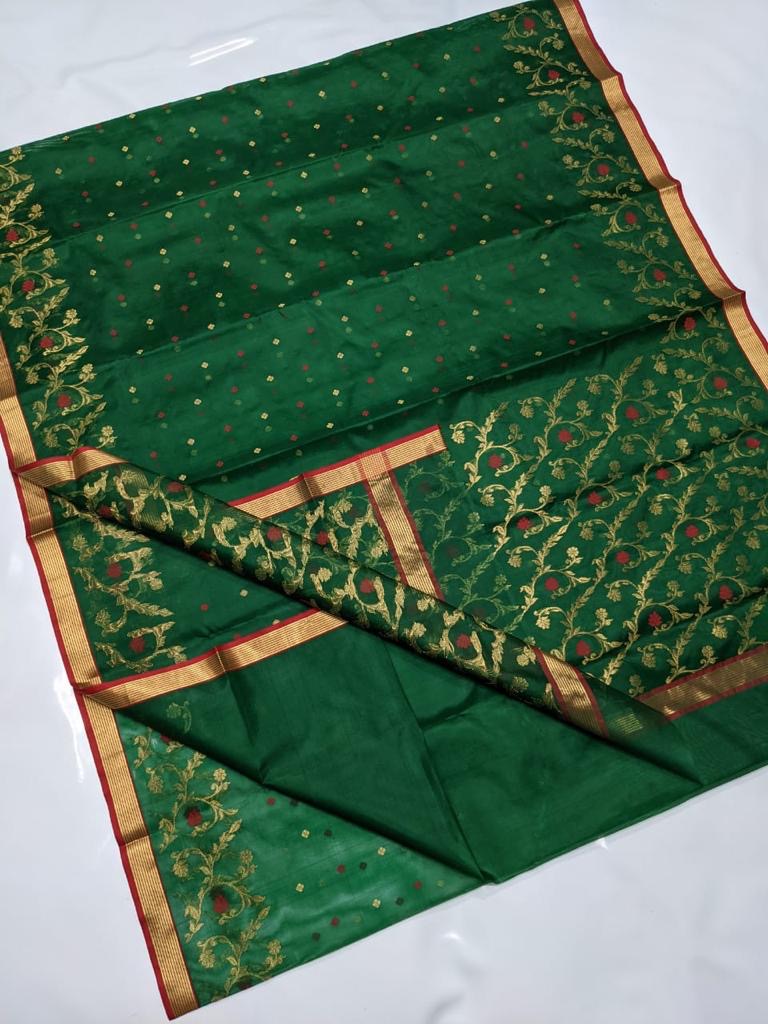Green Small Border Panel Zaal Chanderi Handloom Saree